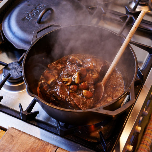 Lodge Dutch Oven Loop Handle 6.6L 30cm